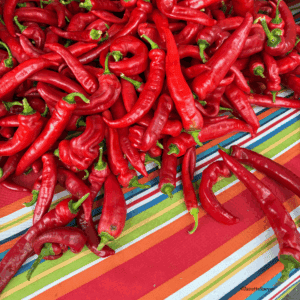 Food Culture Bites - Indigenous Foods-Chilis