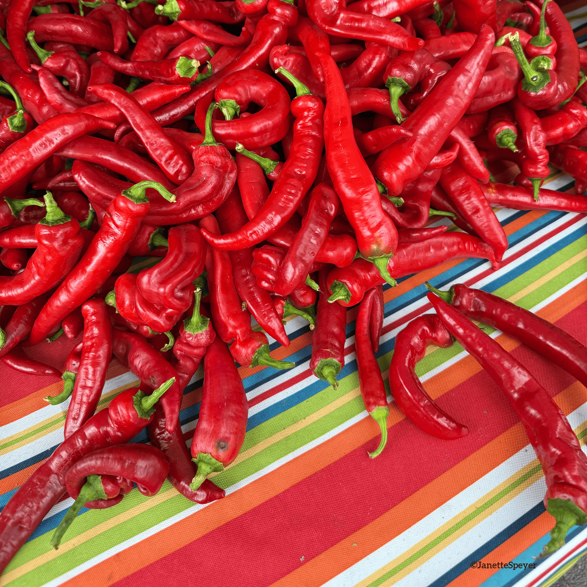Indigenous Foods-Chilis