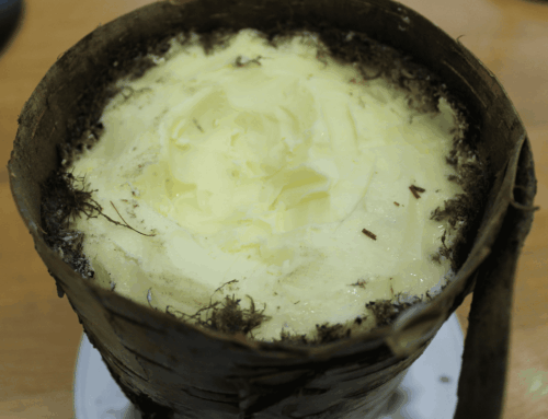 Bog Butter: The Butter That Survived 5,000 Years Underground