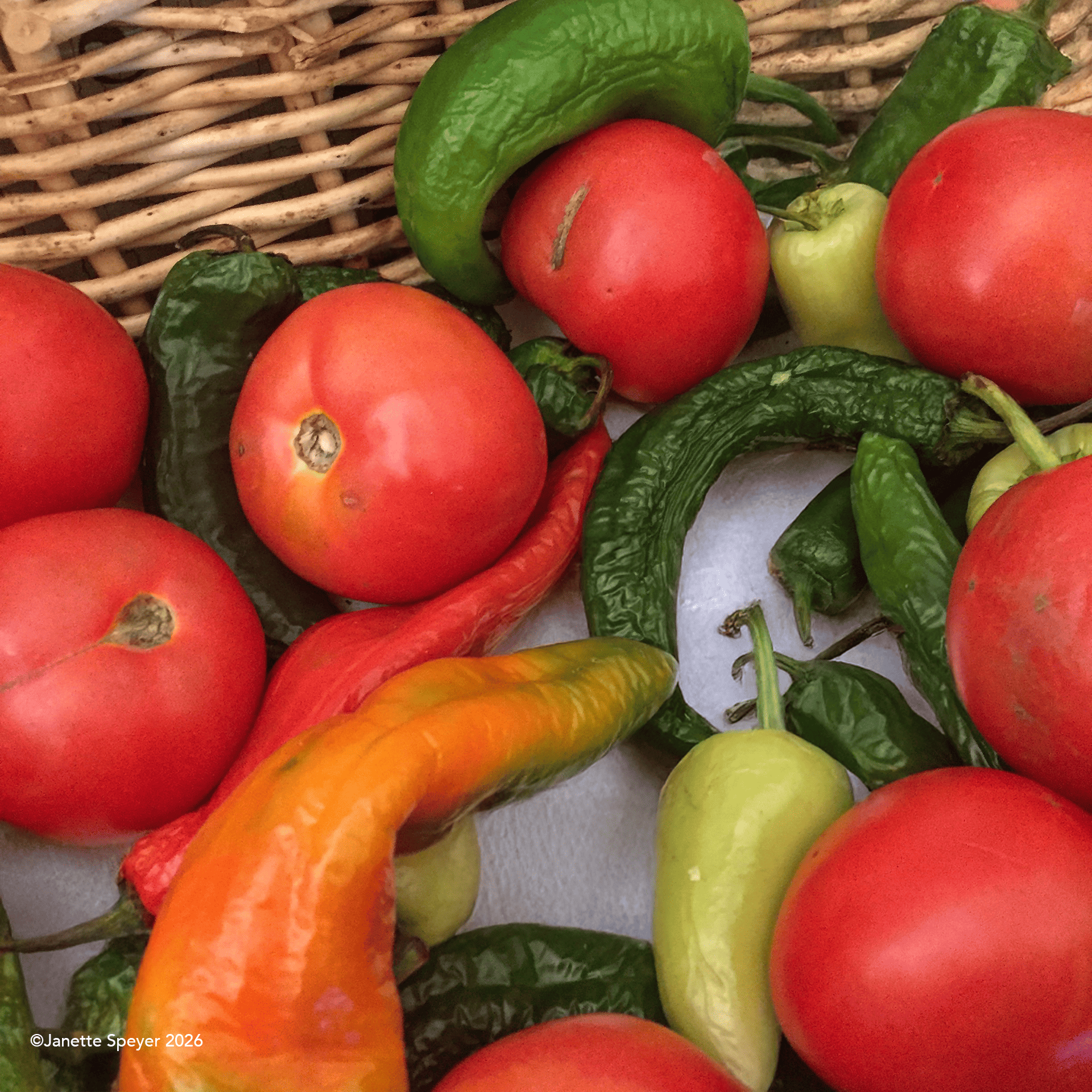 Chili Sauce and Salsa ingredients