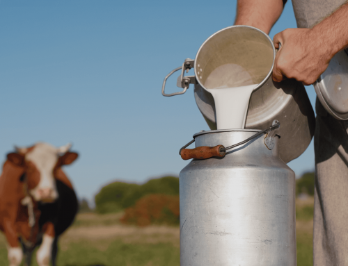 Milk: The Beverage Humans Were Never Meant to Drink