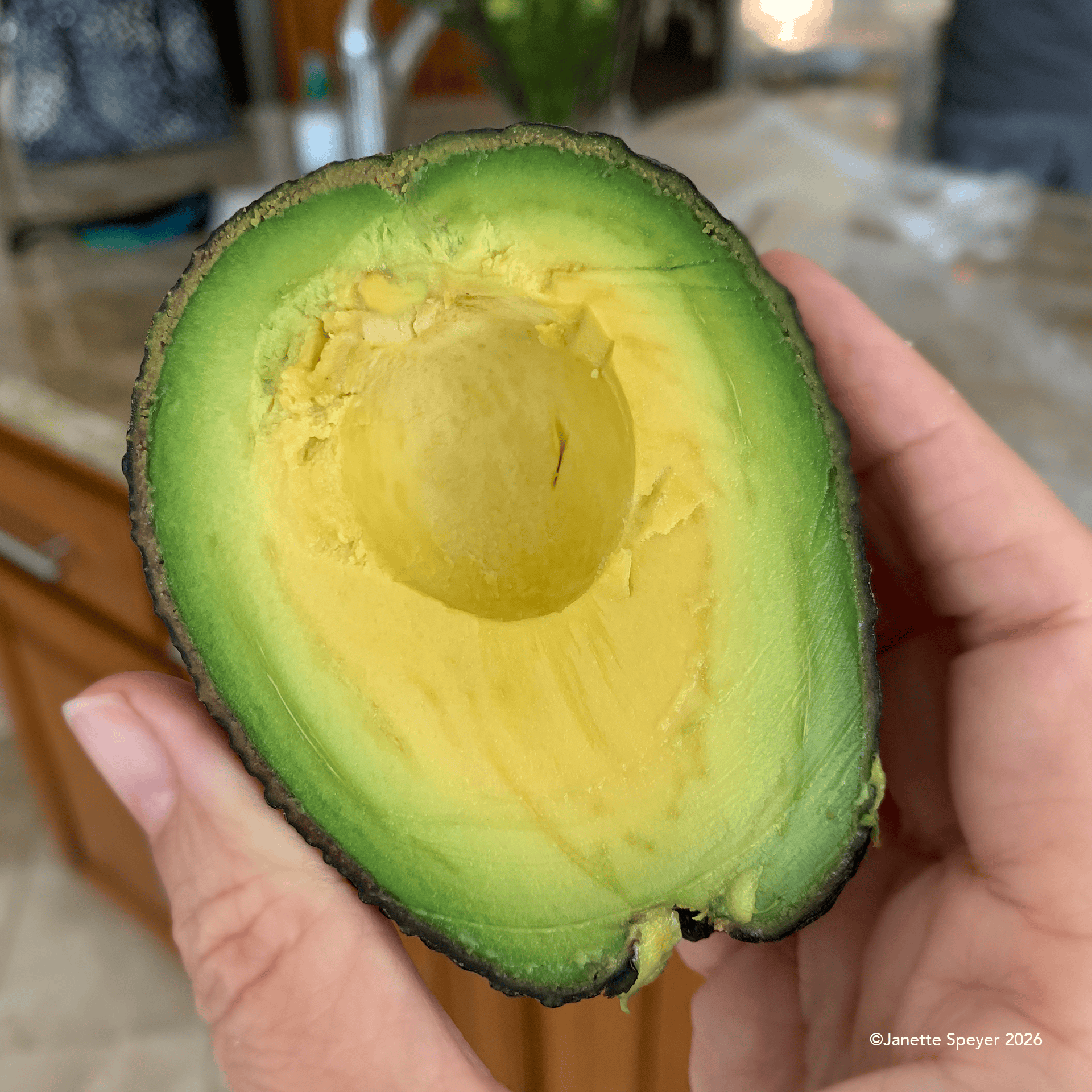 The avocado has been around since the ice age. here's half a Haas avocado