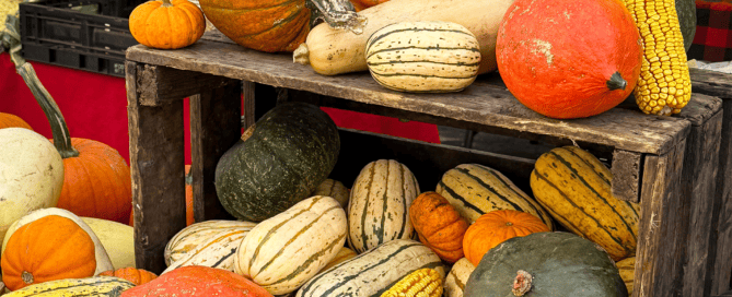 Indigenous-Dishes-Pumpkins and corn