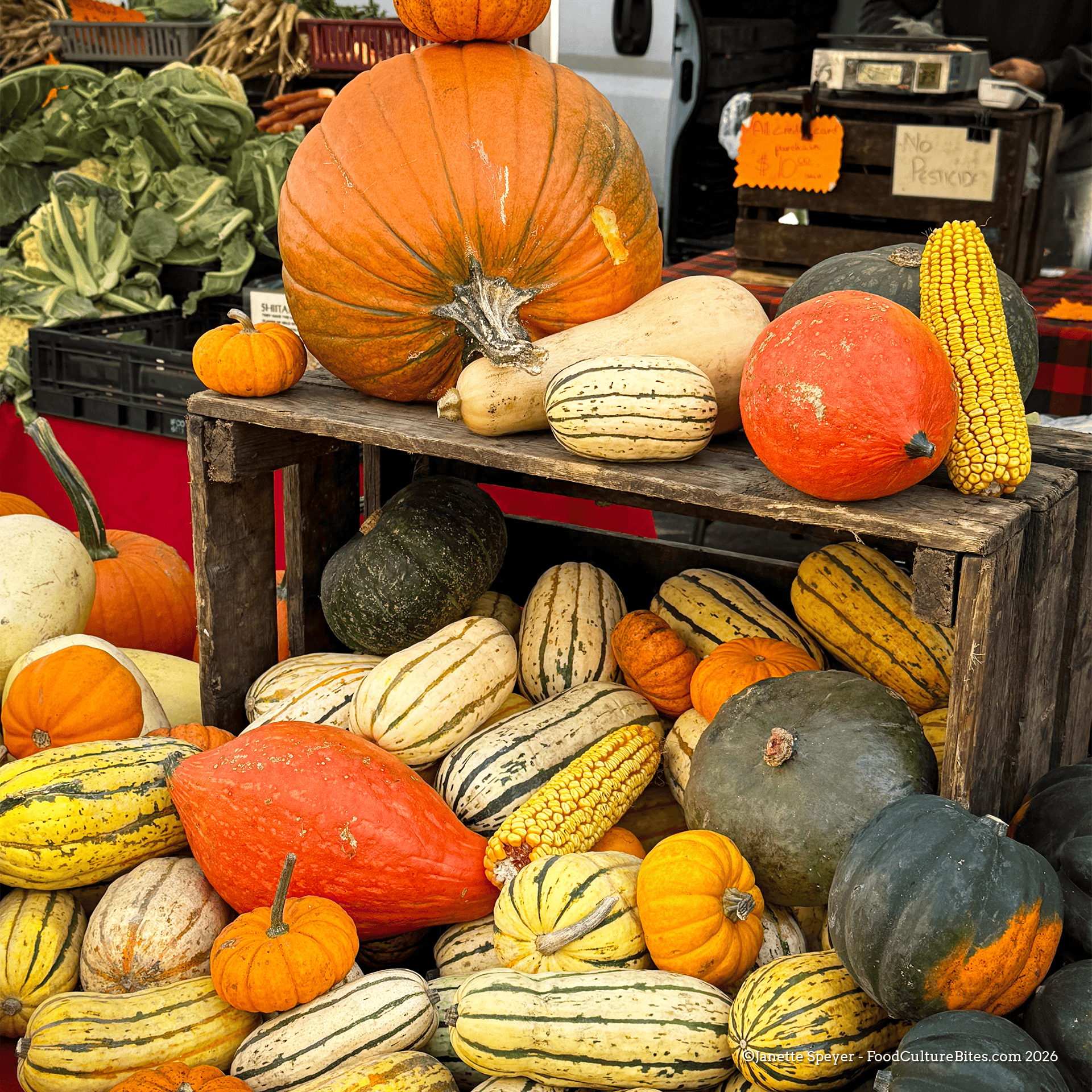 Indigenous-Dishes-Pumpkins and corn