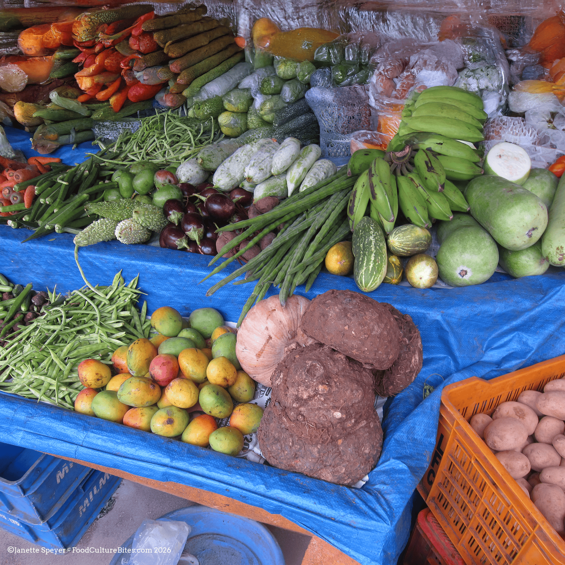 Edible Poisonous Foods Fruits and Vegetables