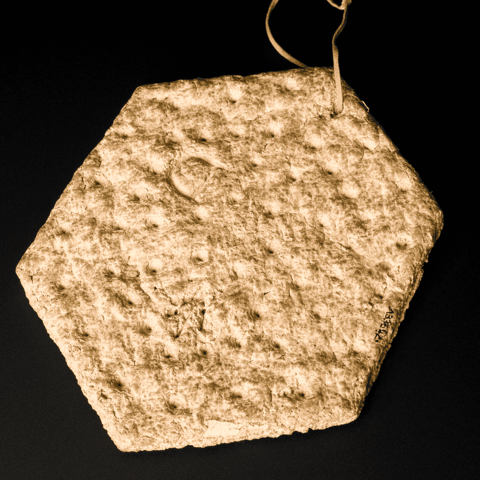 L0064860 Ship's biscuit, England, 1875