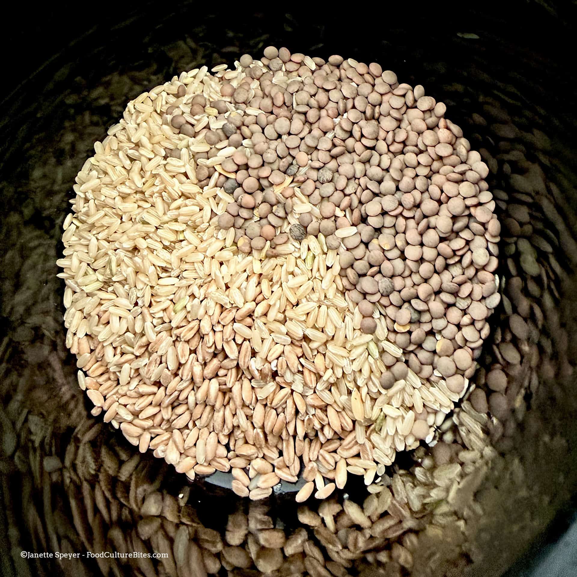 A bowl of brown lentils and assorted whole grains, a typical Blue Zones, Diet staple